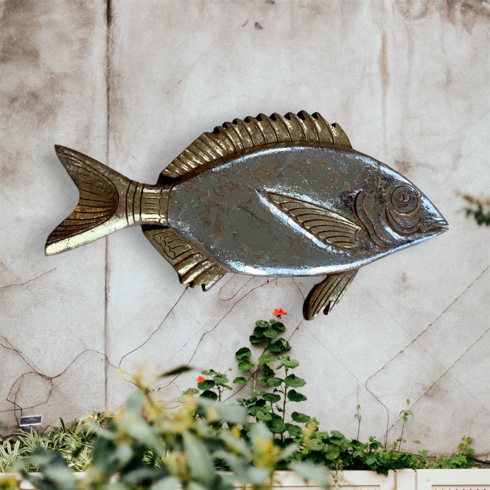 Sheepshead Wall Hanging Fish -Natural with Gold an